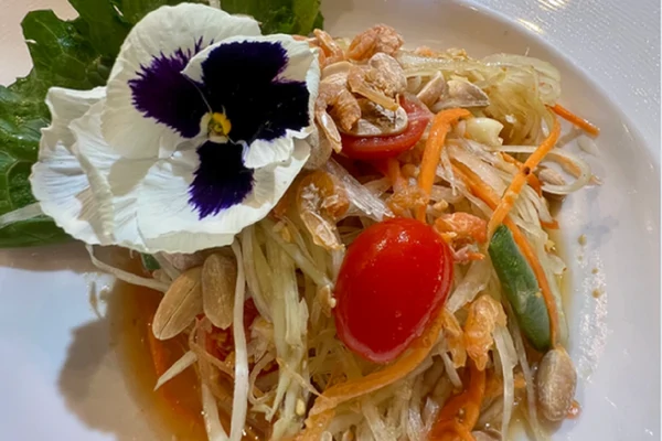 Savory Papaya salad