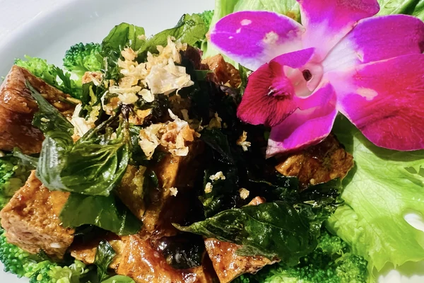 Savory Crispy Tofu