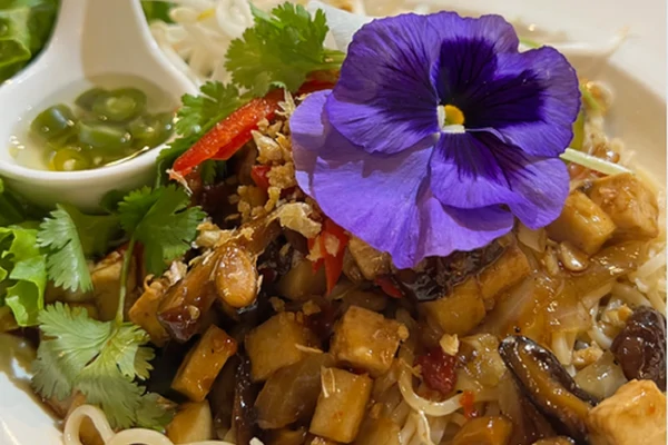 Savory Noodles Tofu