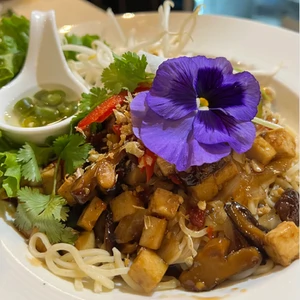 Savory Noodles Tofu